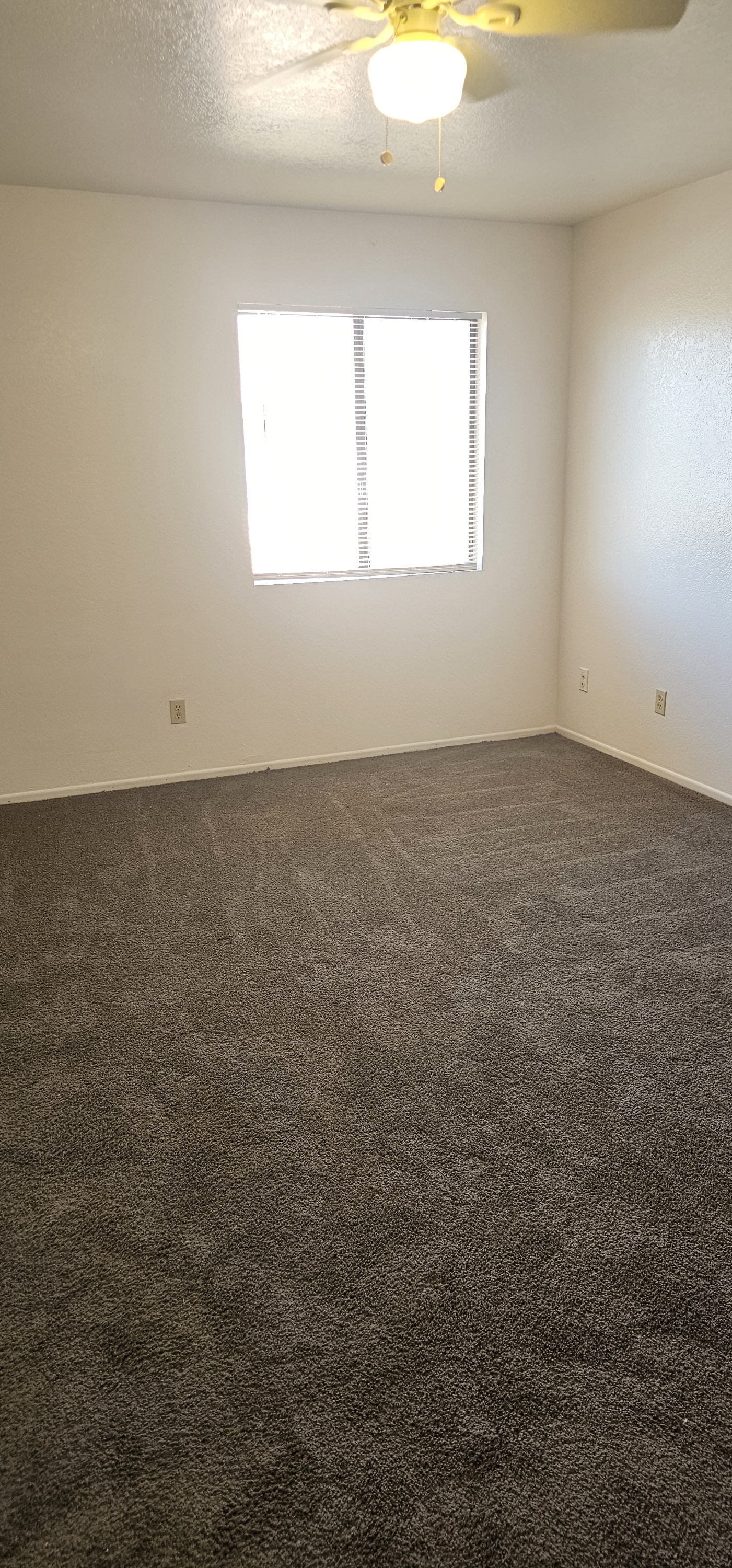 6148 E. Greenway  St. - 3